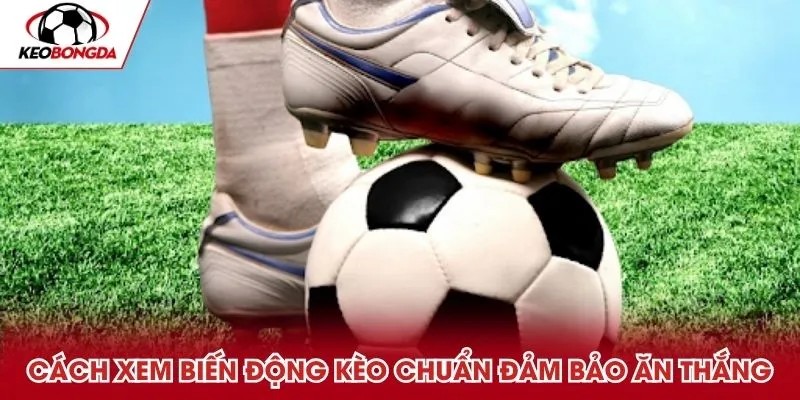 Cách xem biến động kèo bóng đá trực tuyến chuẩn đảm bảo ăn thắng