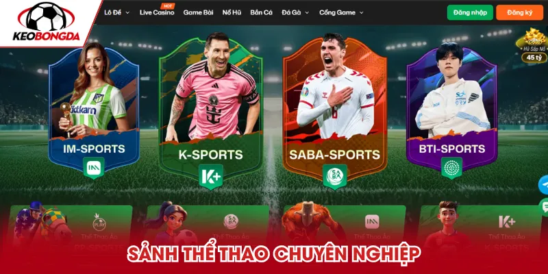 Trải nghiệm cá cược thể thao xanh chín