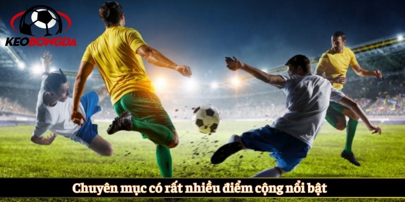 Chuyên mục có rất nhiều điểm cộng nổi bật